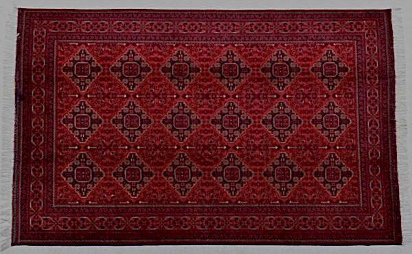 4624 AFGAN KUNDUZ HALI: